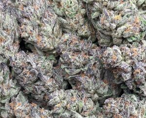 Italian Ice Weed Strain