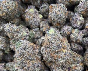 Red Alert Strain