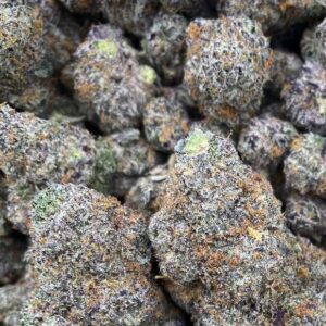 Red Alert Strain