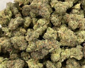 Animal Cookies Strain
