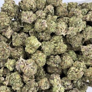 Black Gas Strain