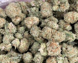 Citrique Strain