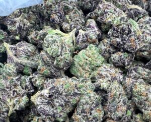Popscotti Strain