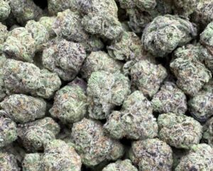 Zootiez Strain