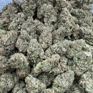 805 Glue Strain