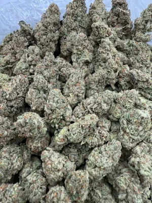 805 Glue Strain