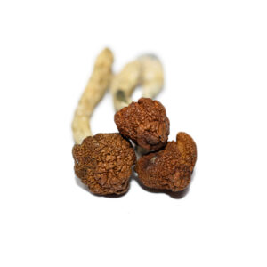 Apex Shrooms For Sale