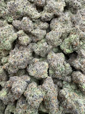 Argvana Heat Strain