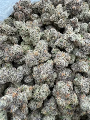 Kosher Kush Strain