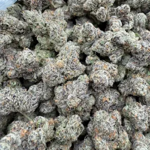 Blue Cookies Strain