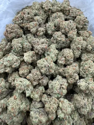 Brain Freeze Strain