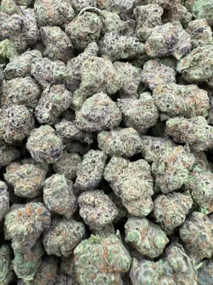 Chauffeur Strain
