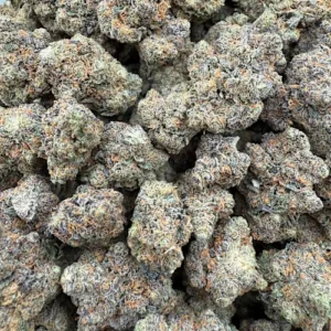 DNA Strain