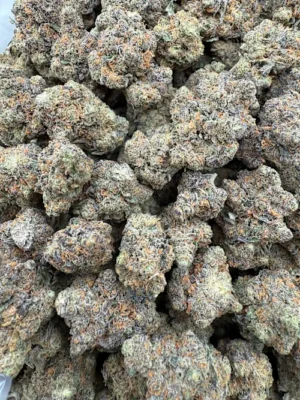DNA Strain
