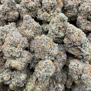 Gizmo Strain