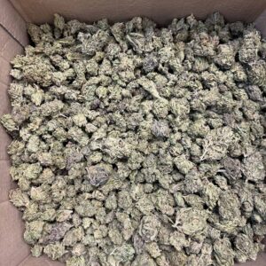 Guava Tartz THCA Flower