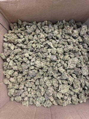 Guava Tartz THCA Flower
