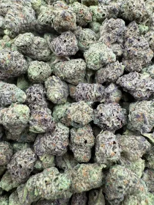 High Society Strain