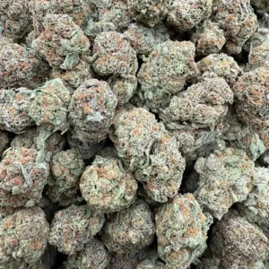 Jack Herer Strain