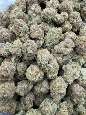 Jack Herer Strain