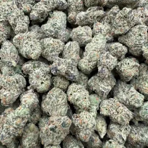 Kirkwood OG Strain
