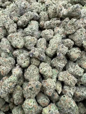 Kirkwood OG Strain