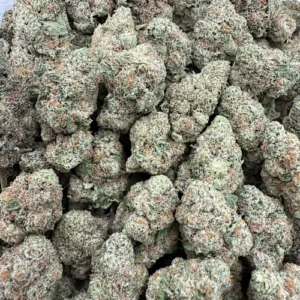 Laughing Gas Strain