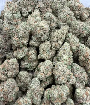 Laughing Gas Strain