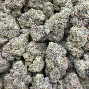 Lost Tribe Strain