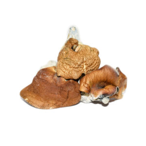 Makilla Gorilla Shrooms For Sale