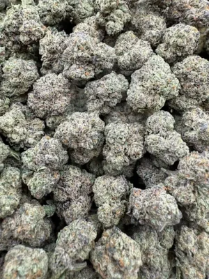 Original Glue (Gg#4) Strain