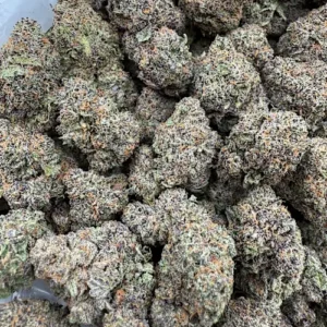 Pablo's Revenge Strain