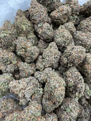 Pablo's Revenge Strain