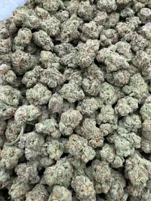 Pez Strain