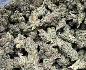 Wholesale Purple Zkittlez THCA Flower