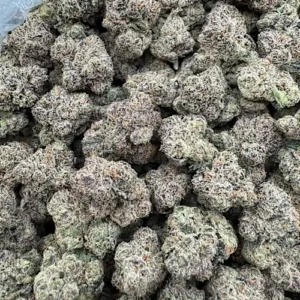 Runtz Buttonz Strain