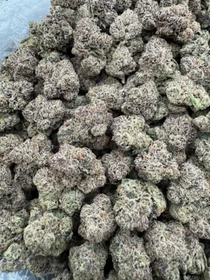 Runtz Buttonz Strain