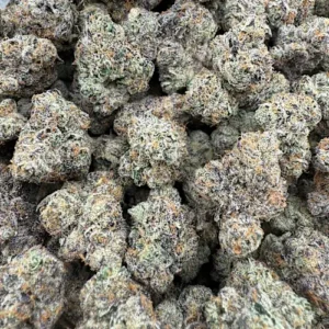 Sex Panther Strain
