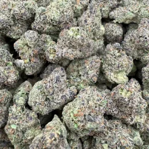 Snoop's Dream Strain