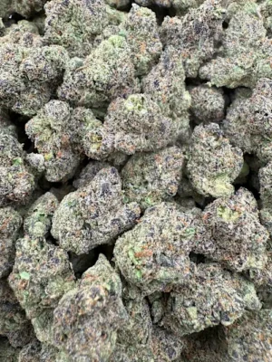 Snoop's Dream Strain