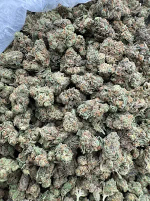 Superglue OG Strain