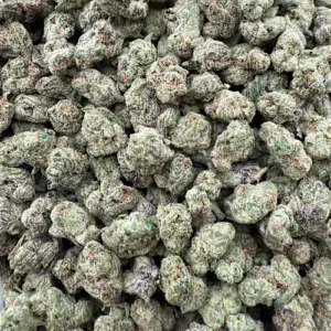 Thin Mint Girl Scout Cookies Strain