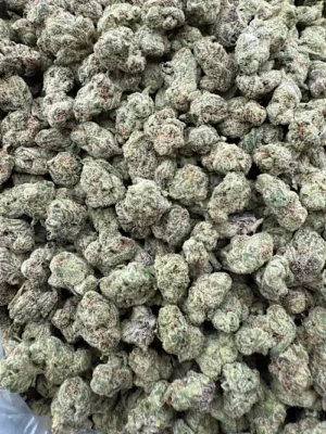Thin Mint Girl Scout Cookies Strain