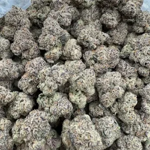 Tiger King Strain