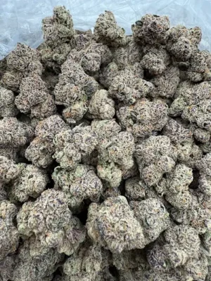 Tiger King Strain