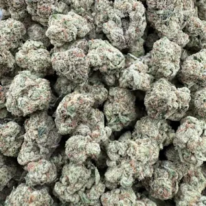 Triple Burger Strain