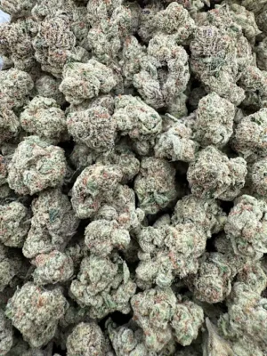 Triple Burger Strain