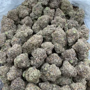 Truffaloha Strain