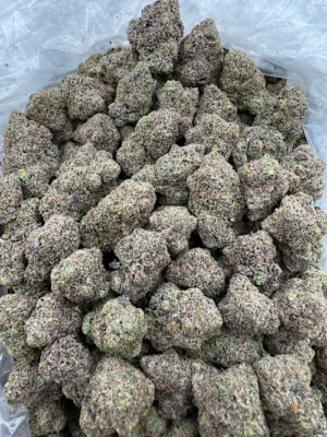 Truffaloha Strain
