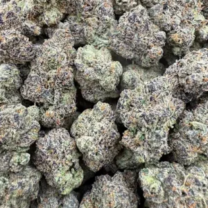 Ursa Major Strain